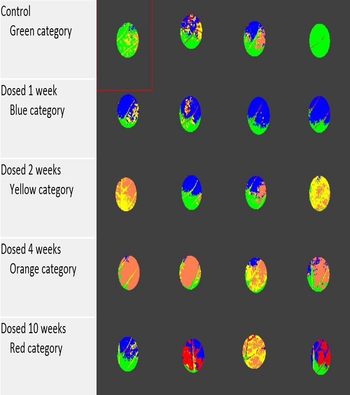 Hyperspectral images captured for leaves dosed with TCE over varying time periods; these are examples of response signatures to be built into the device's reference library/database